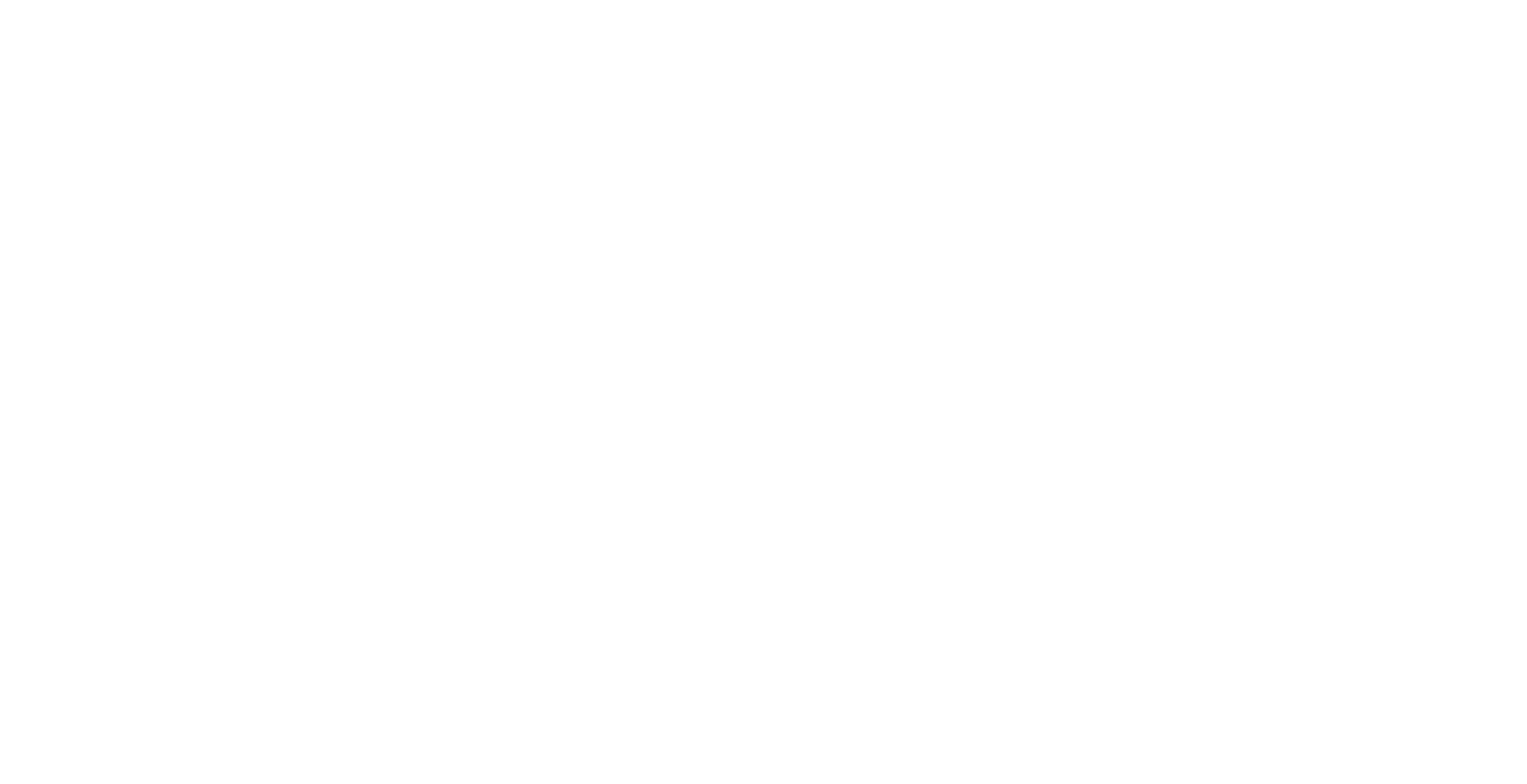 French Riviera T100 Triathlon Logo